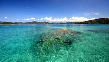 加計呂麻島　鳥瀬　