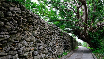 与路島 散策 ・サンゴの石垣