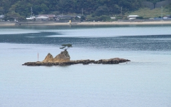 一本松と本生間遠景