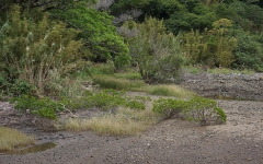 風景