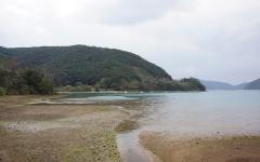 海岸風景