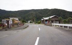 県道