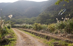 奥に伸びる道