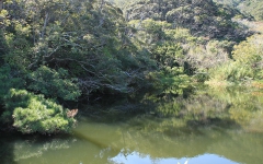 三浦ダム