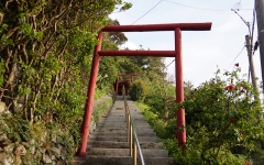 琴平（こんぴら）神社鳥居