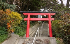 厳島神社鳥居