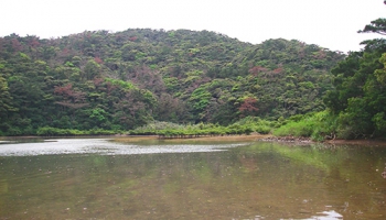 呑ノ浦 干潟